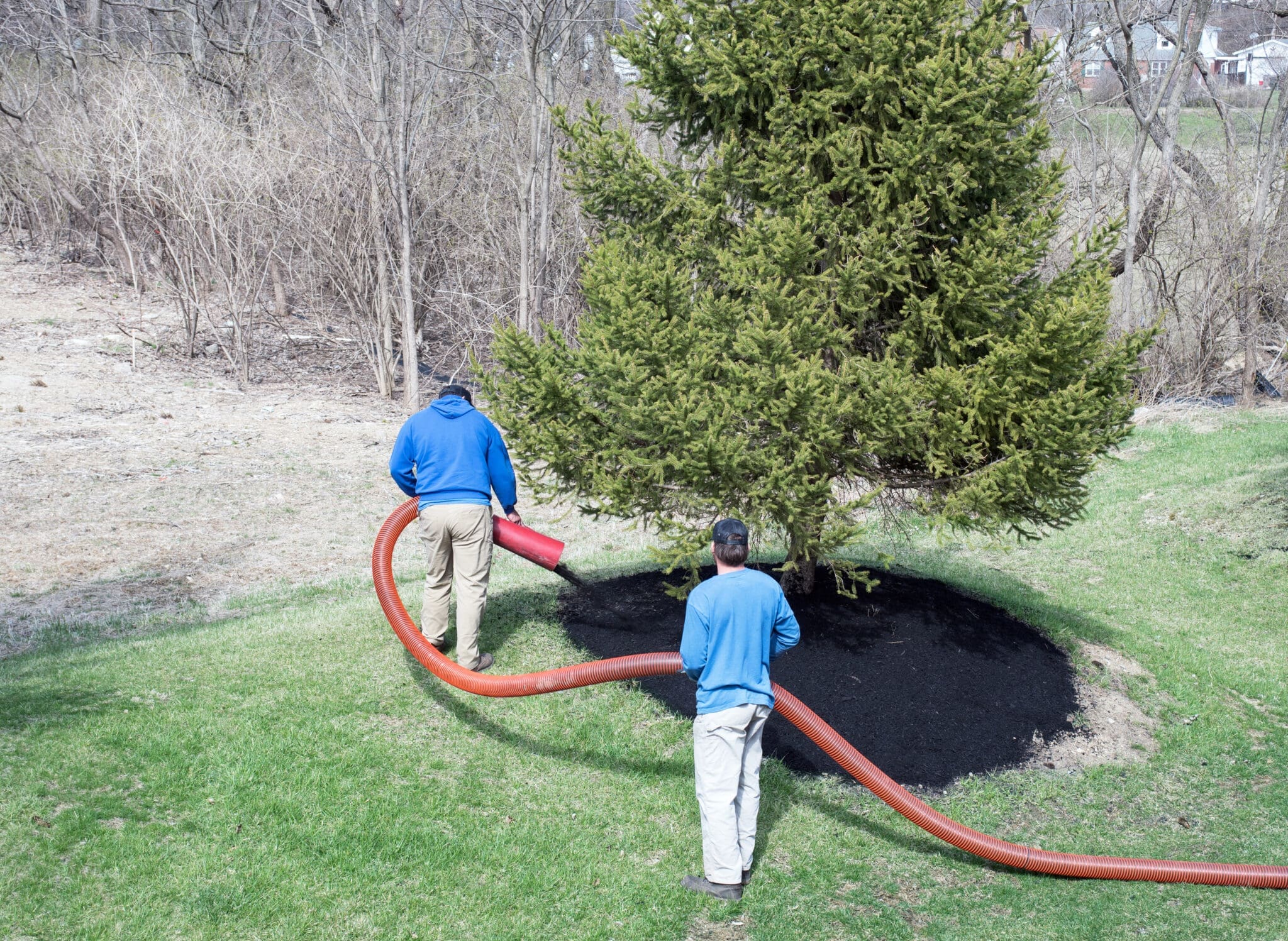 Refresh Your Landscaping with New Bark Mulch Each Year Hilton